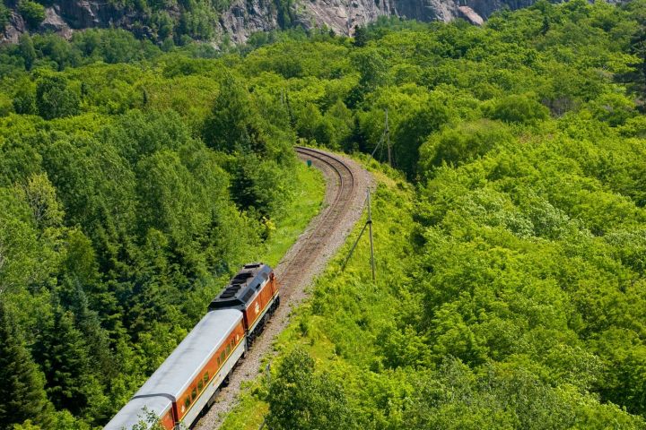 a train traveling down train tracks near a forest
