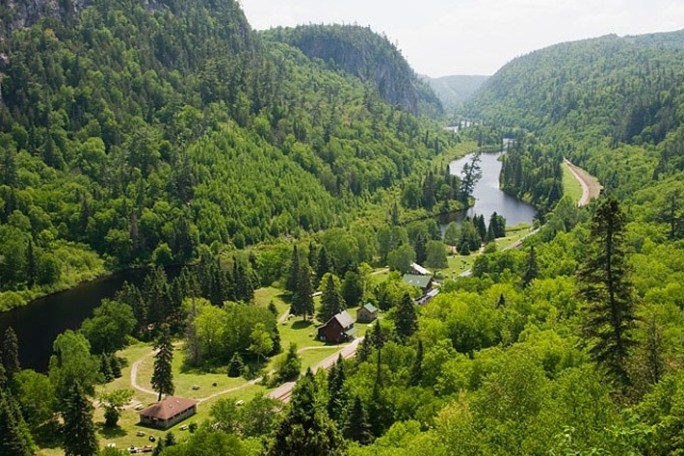 a close up of a hillside next to a lush green forest
