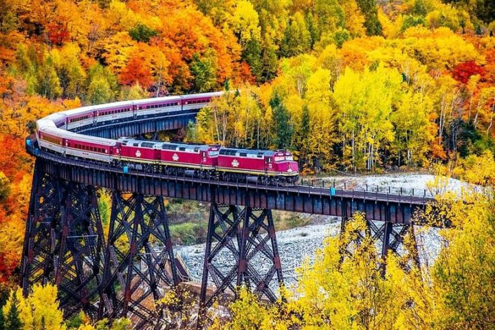 a train crossing a bridge over a river in a forest