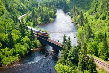 a train crossing a bridge over a river in a forest